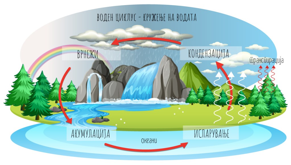 Воден циклус – кружење на&nbsp;водата