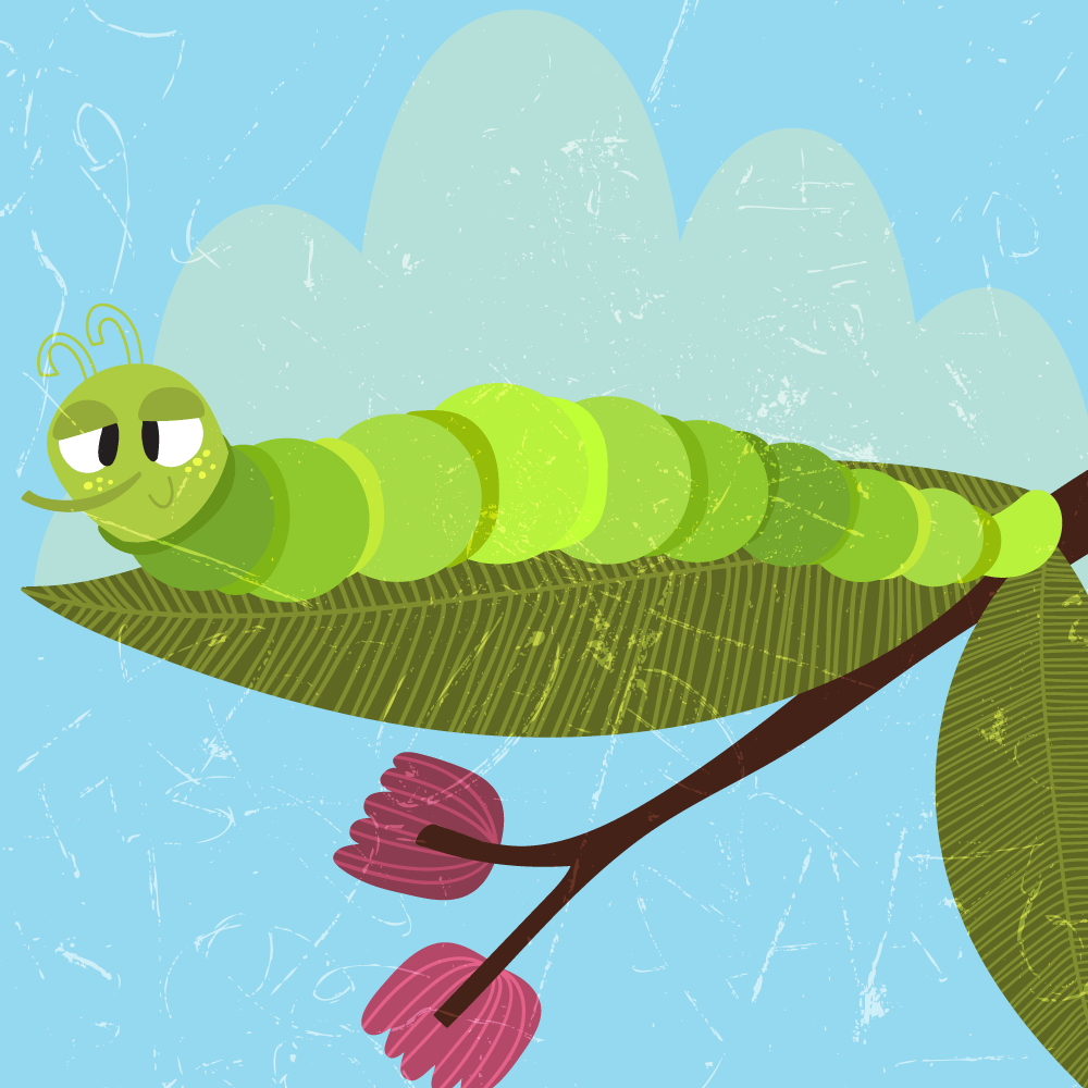 Шарена преобразба