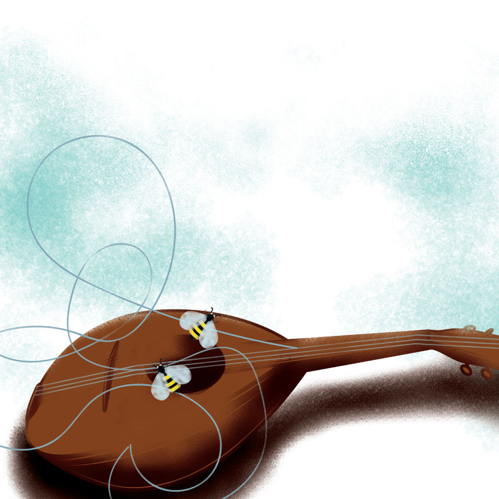 Бура в тамбура