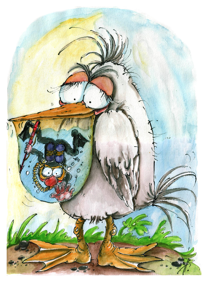 Итриот пеликан