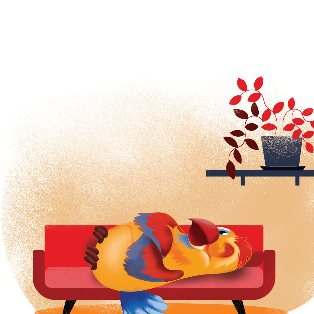 Папагалот Вицко