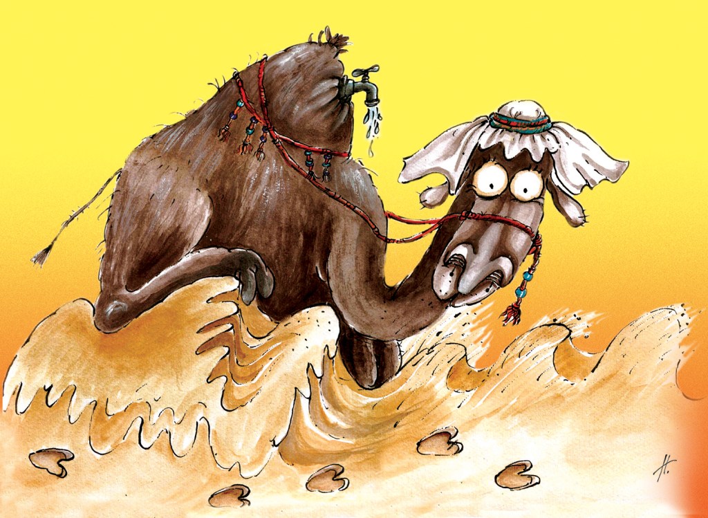 Камила на море