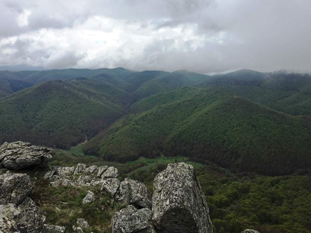 Плачковица