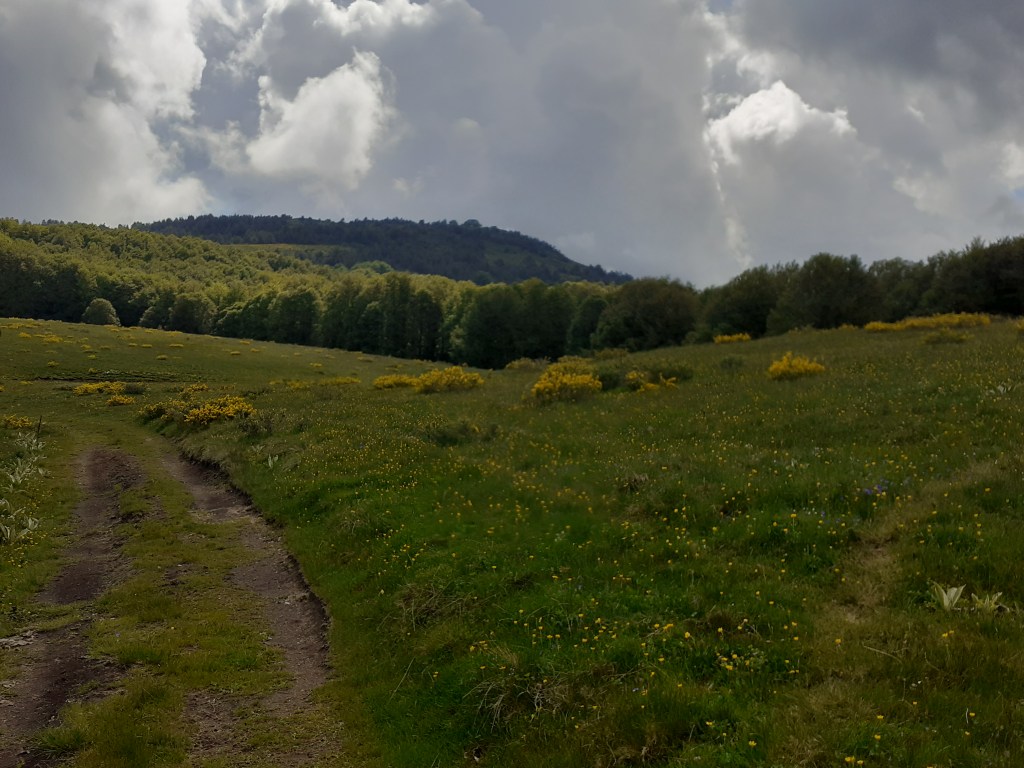 Малешевско-влаинскиот масив￼