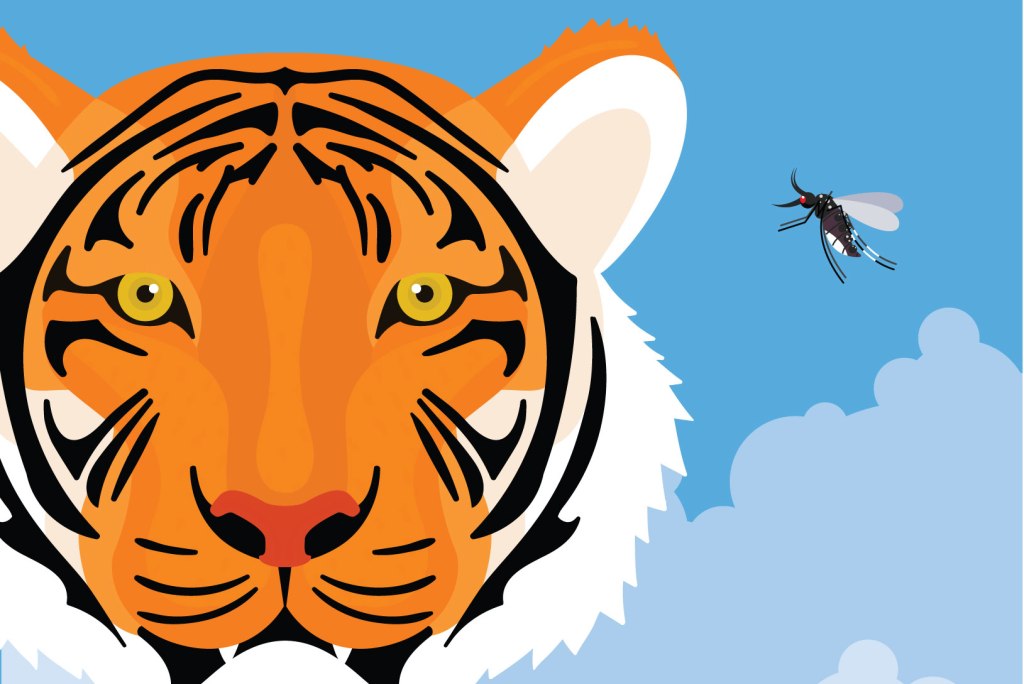 Името си е&nbsp;име